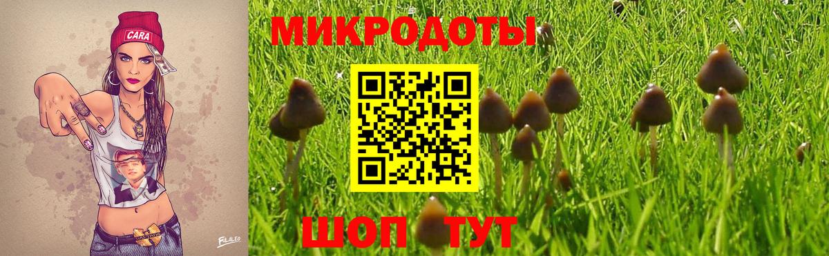 Псилоцибиновые грибы ЛСД  Галлюциногенные грибы Cubensis  Вход с VPN  Тайшет 